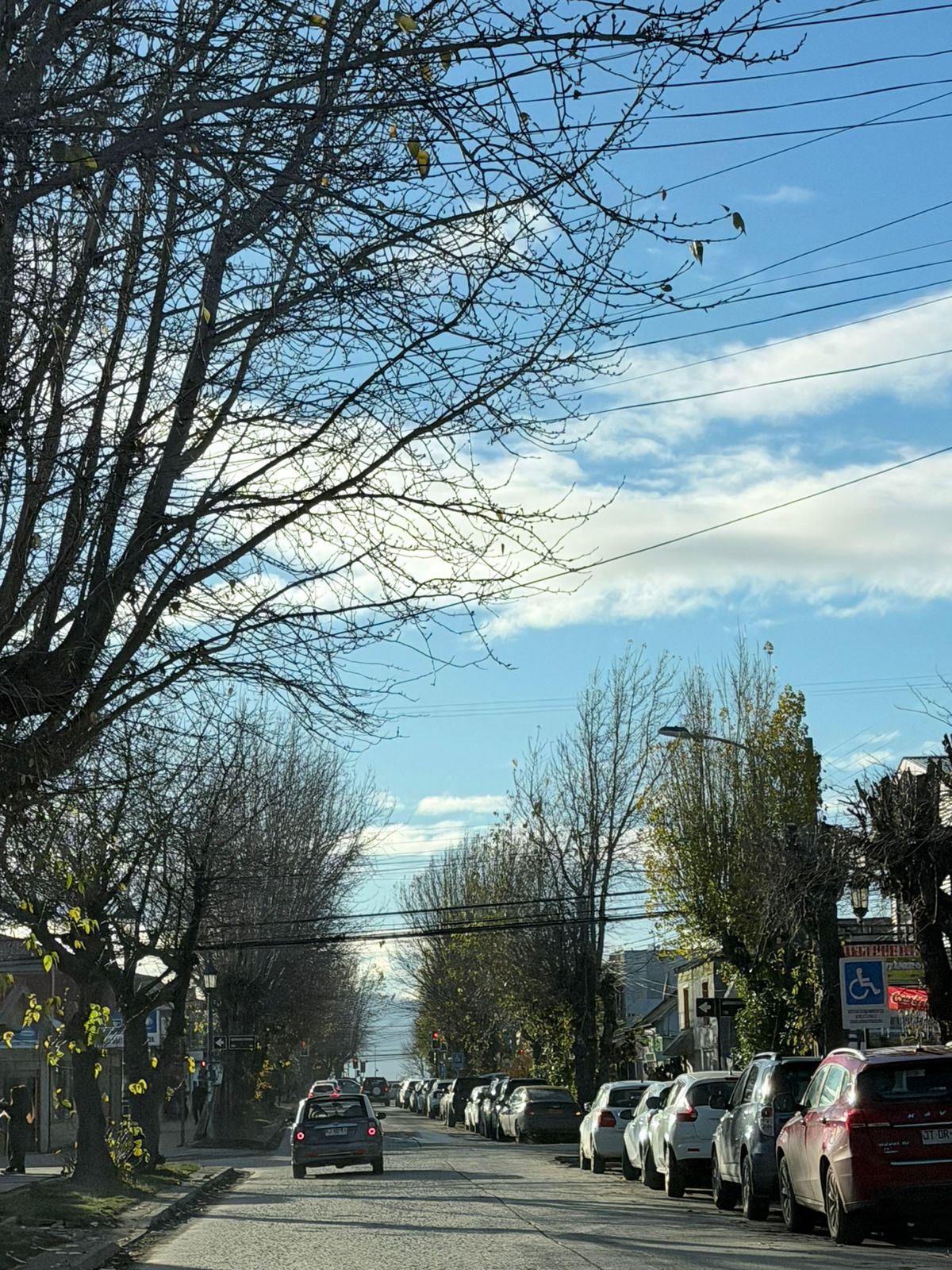 Evidencia de Contaminación aerea