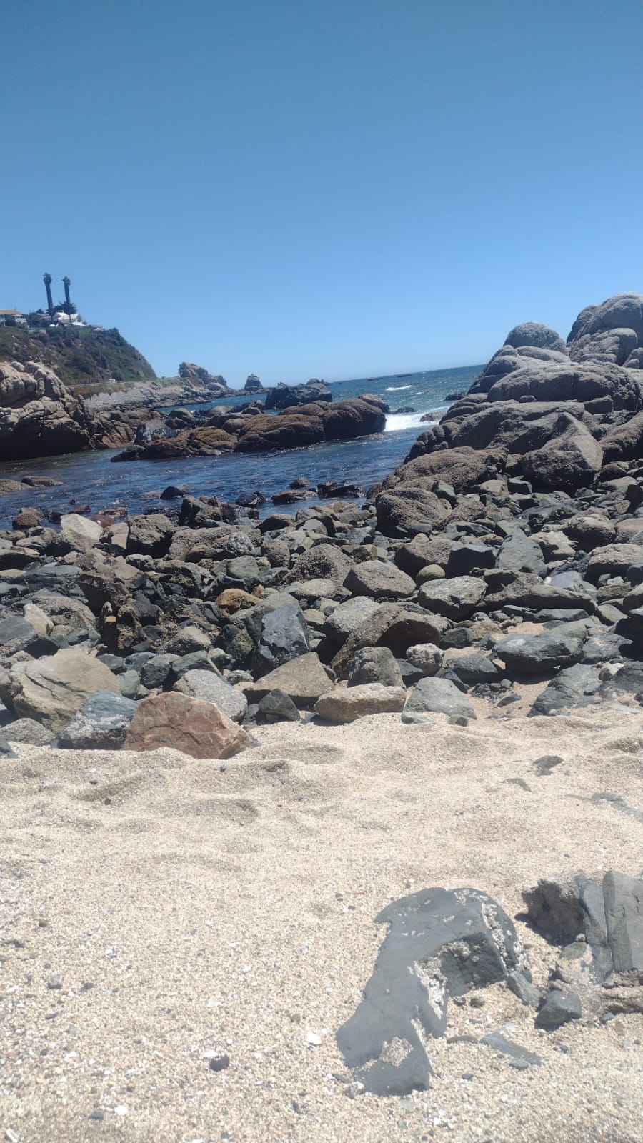 Evidencia de plazqa pasto